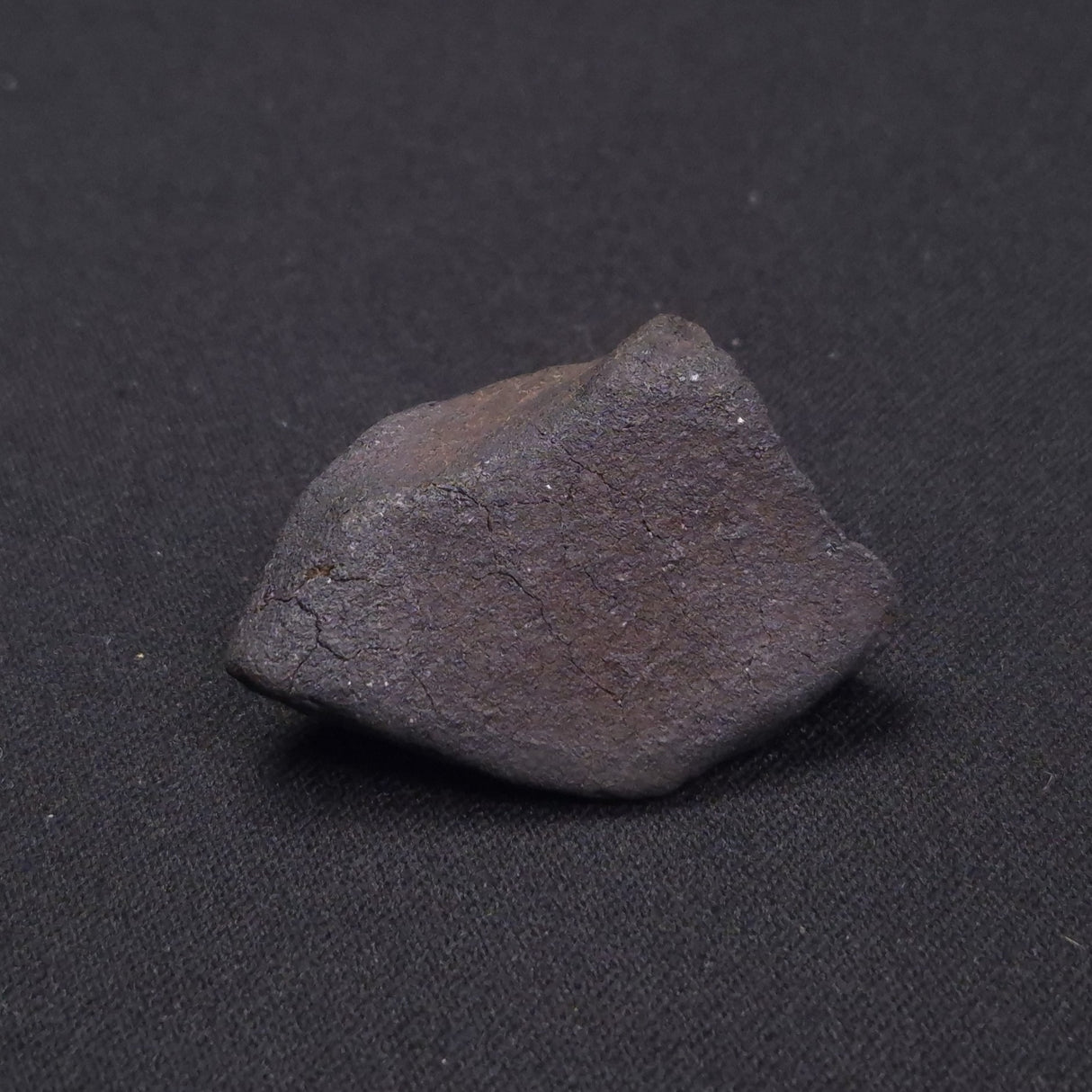 WILUNA METEORITE, H5 Chondrite, Australia YWM012