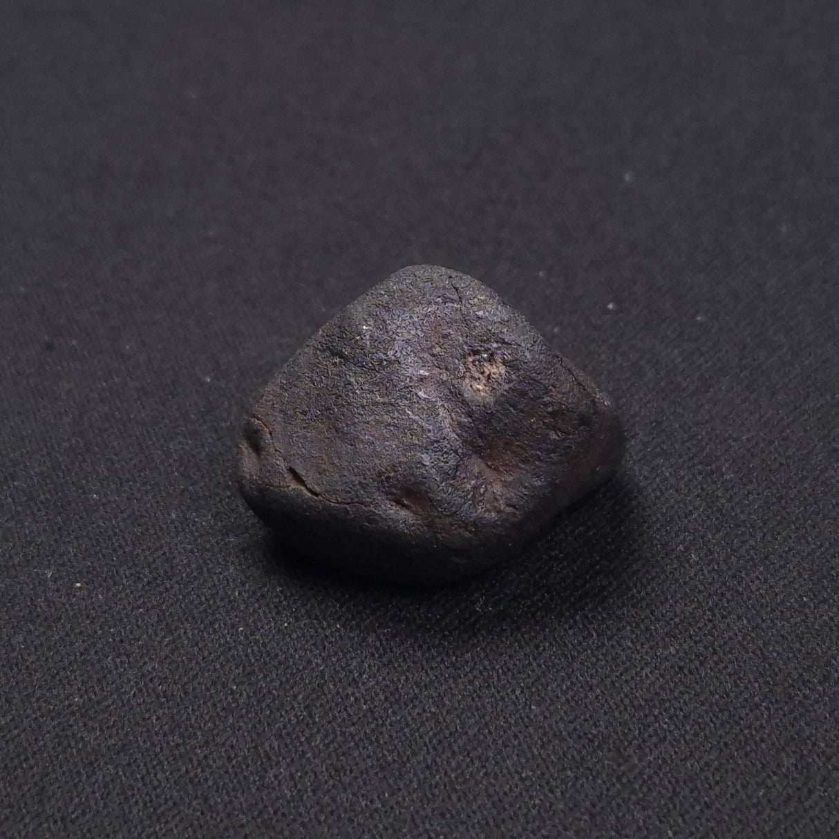 WILUNA METEORITE, H5 Chondrite, Australia YWM013