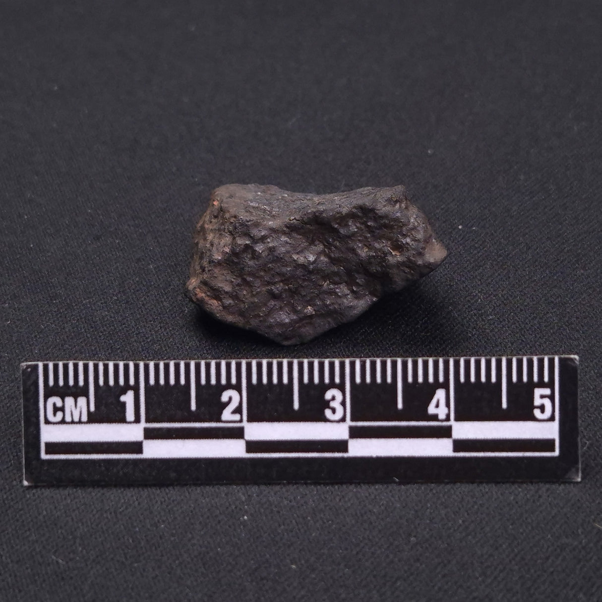 WILUNA METEORITE, H5 Chondrite, Australia YWM016