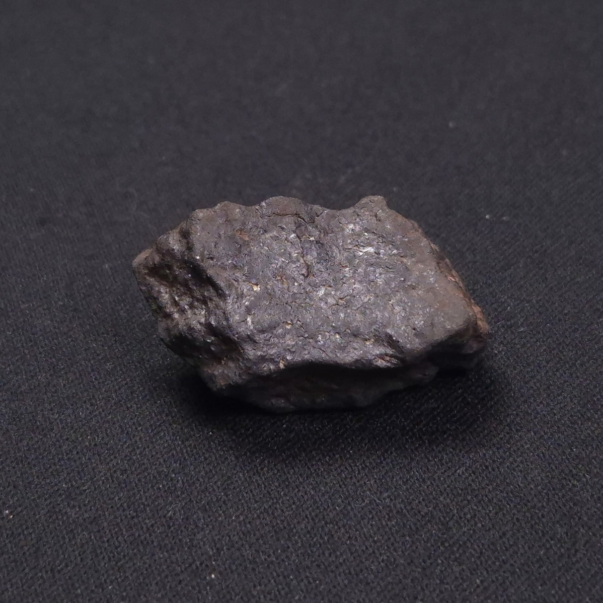 WILUNA METEORITE, H5 Chondrite, Australia YWM016