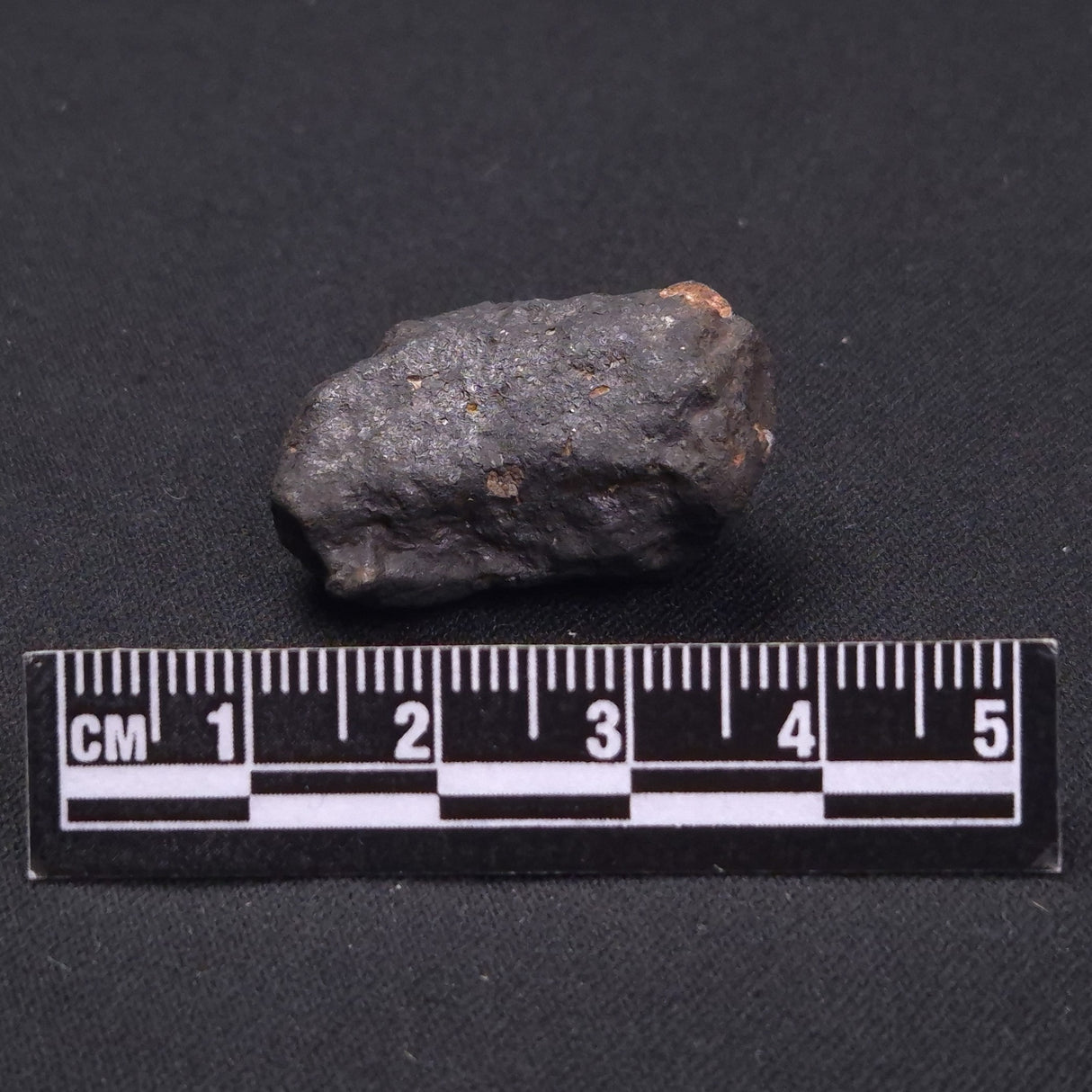 WILUNA METEORITE, H5 Chondrite, Australia YWM017