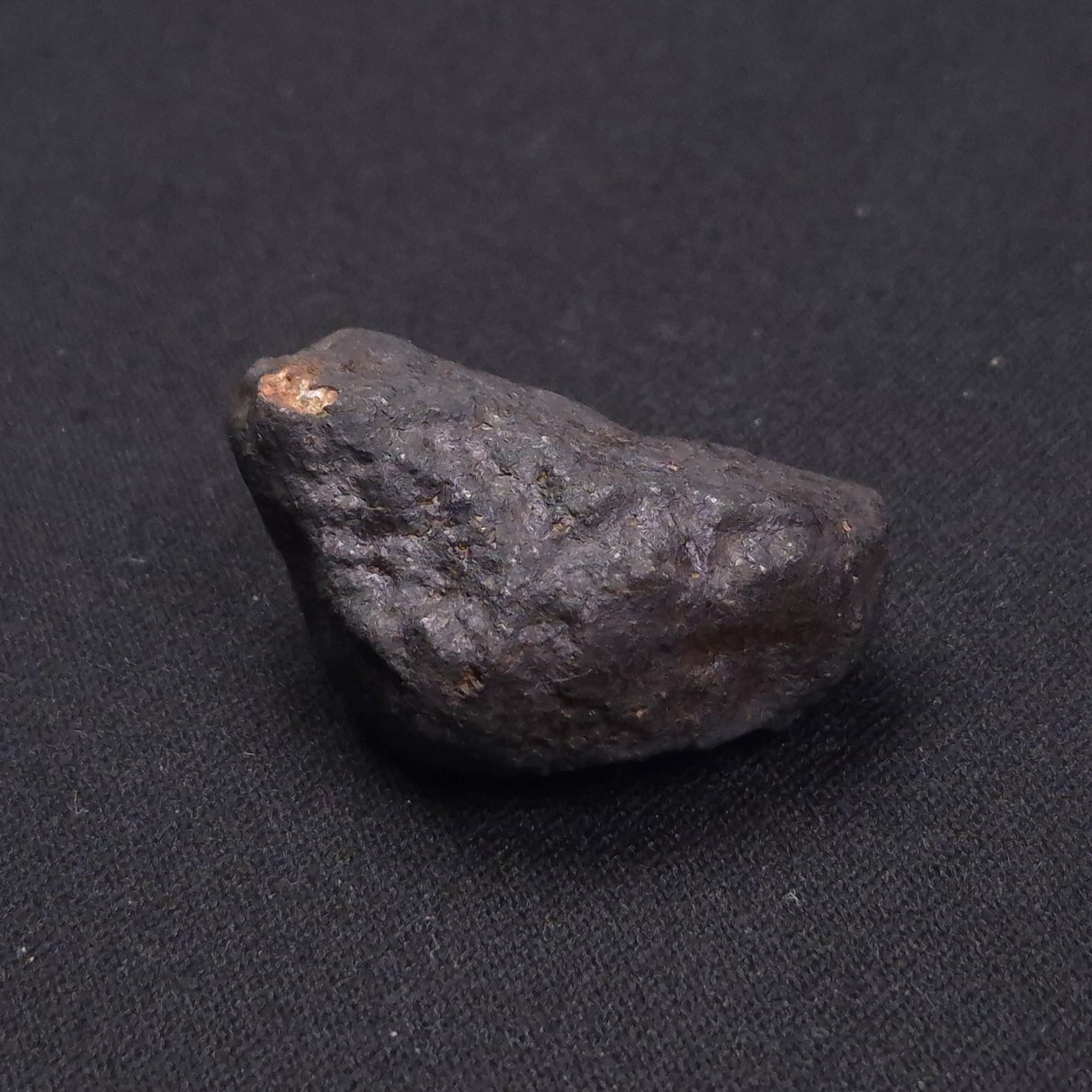 WILUNA METEORITE, H5 Chondrite, Australia YWM017