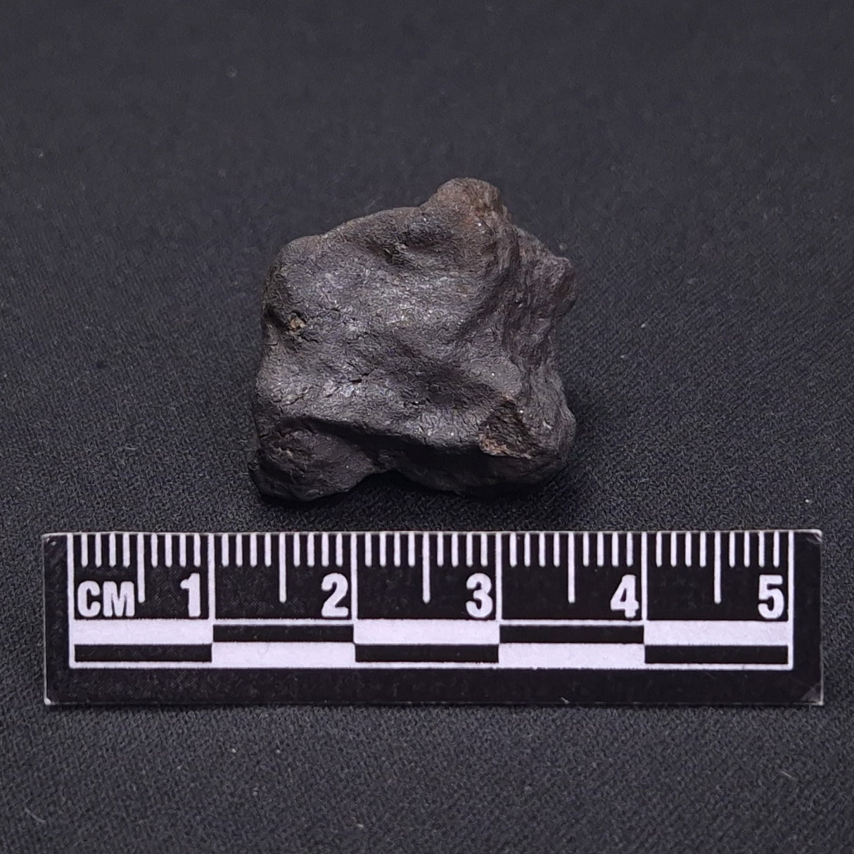 WILUNA METEORITE, H5 Chondrite, Australia YWM018