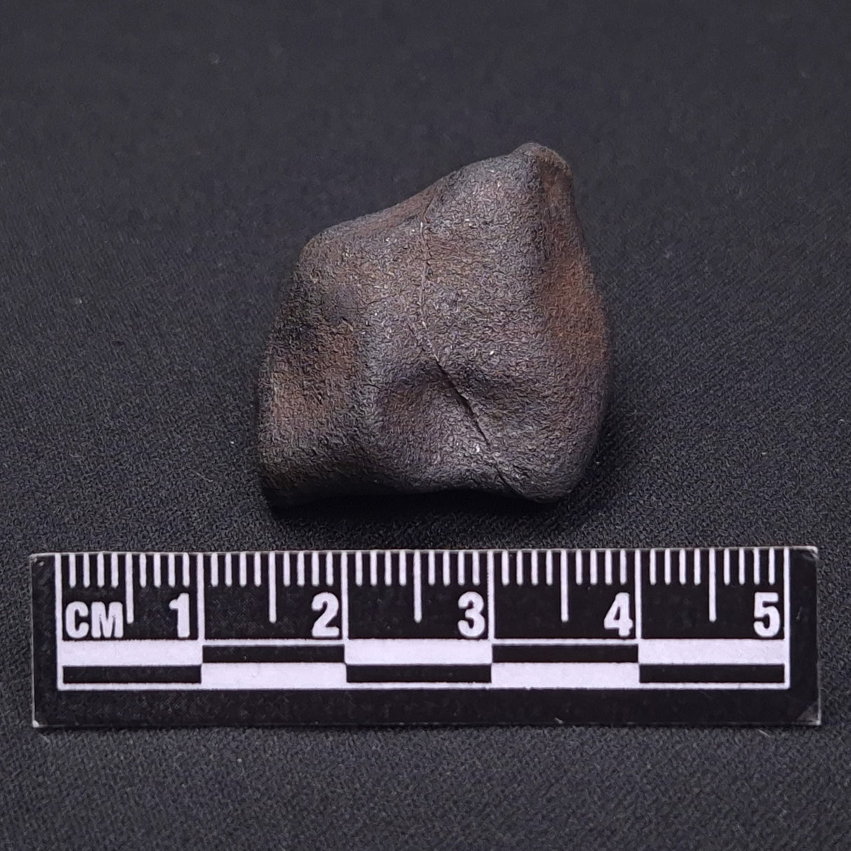 WILUNA METEORITE, H5 Chondrite, Australia YWM021