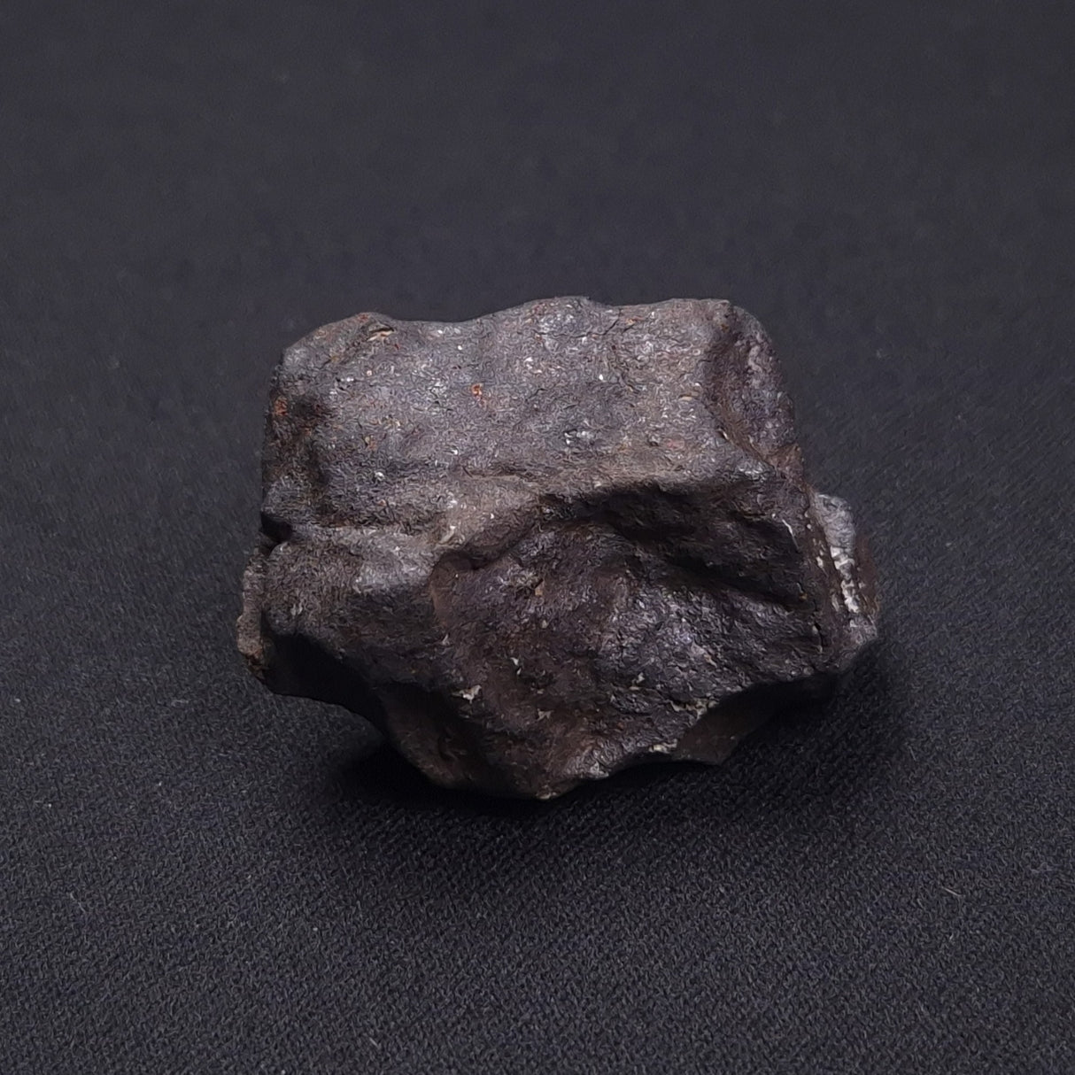 WILUNA METEORITE, H5 Chondrite, Australia YWM024