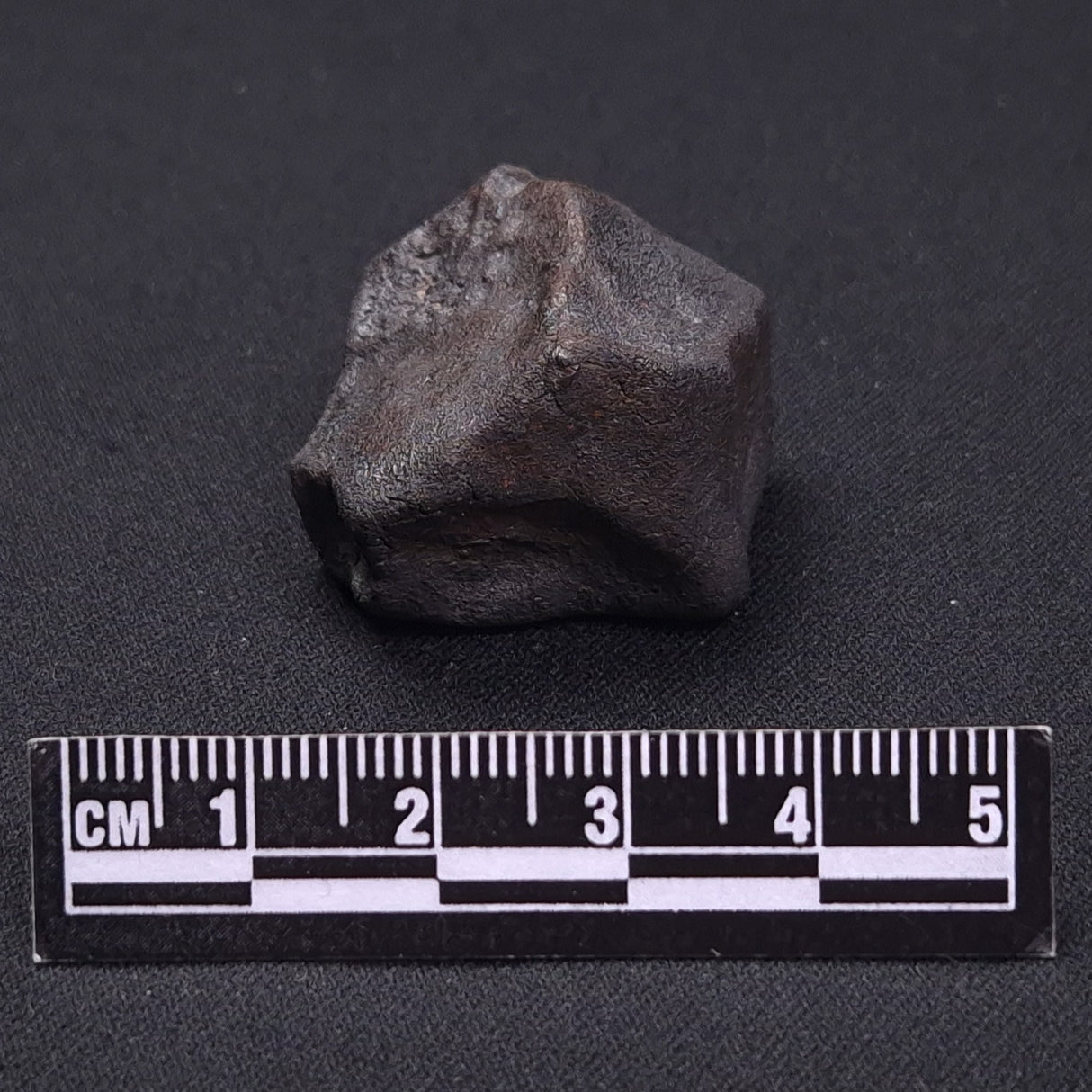 WILUNA METEORITE, H5 Chondrite, Australia YWM025