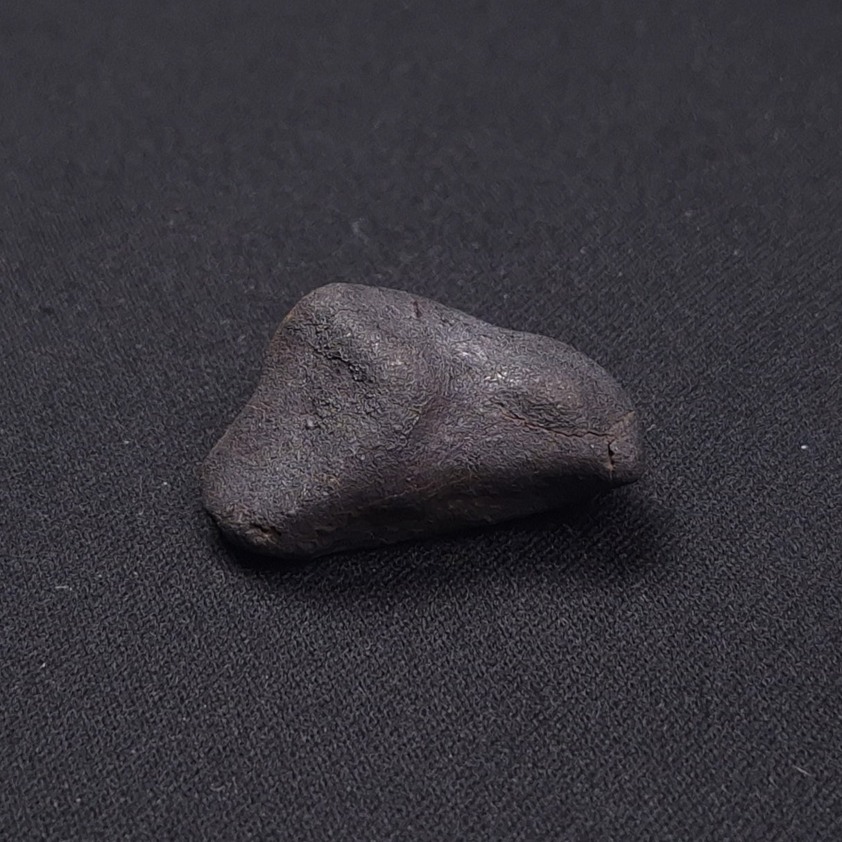 WILUNA METEORITE, H5 Chondrite, Australia YWM026