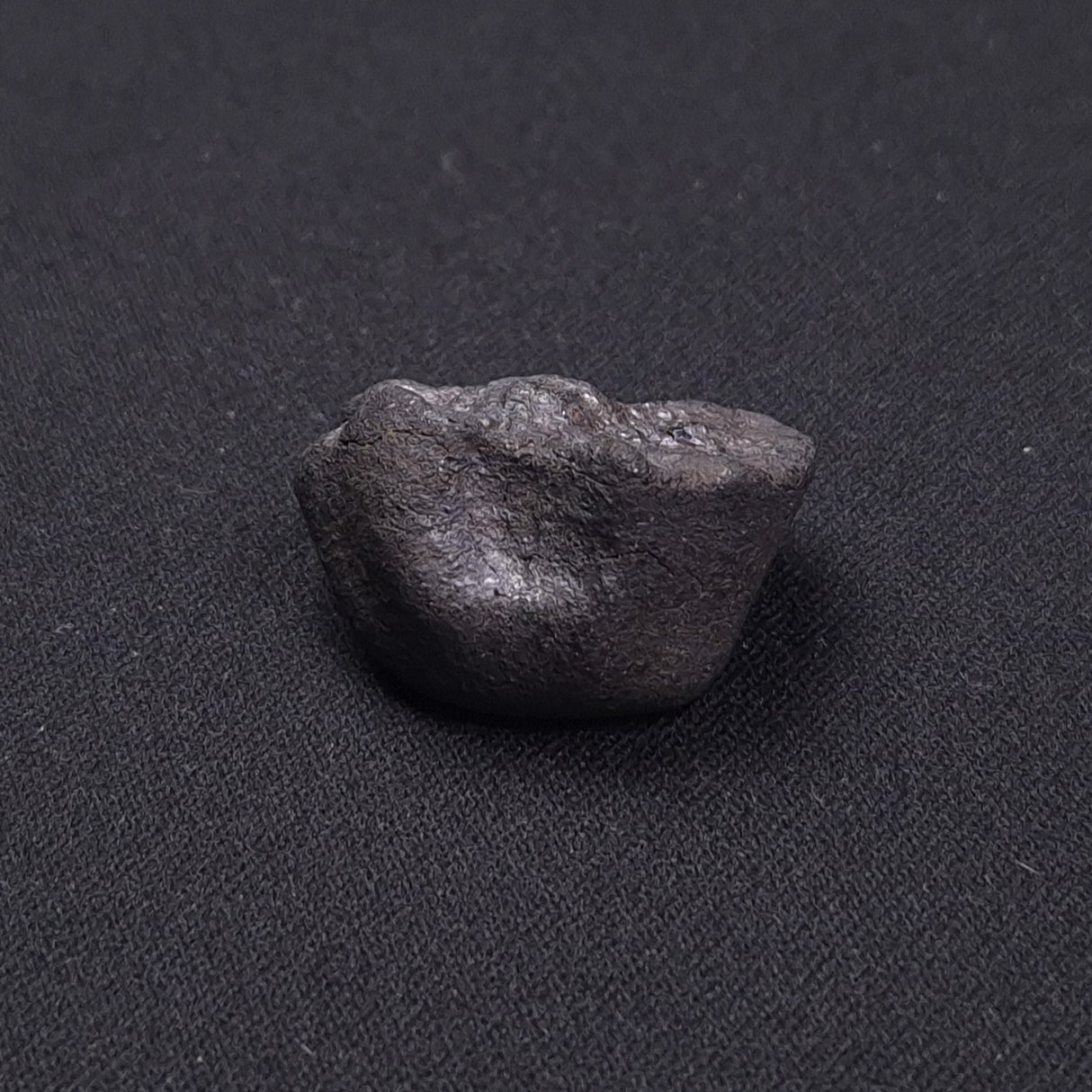 WILUNA METEORITE, H5 Chondrite, Australia YWM027