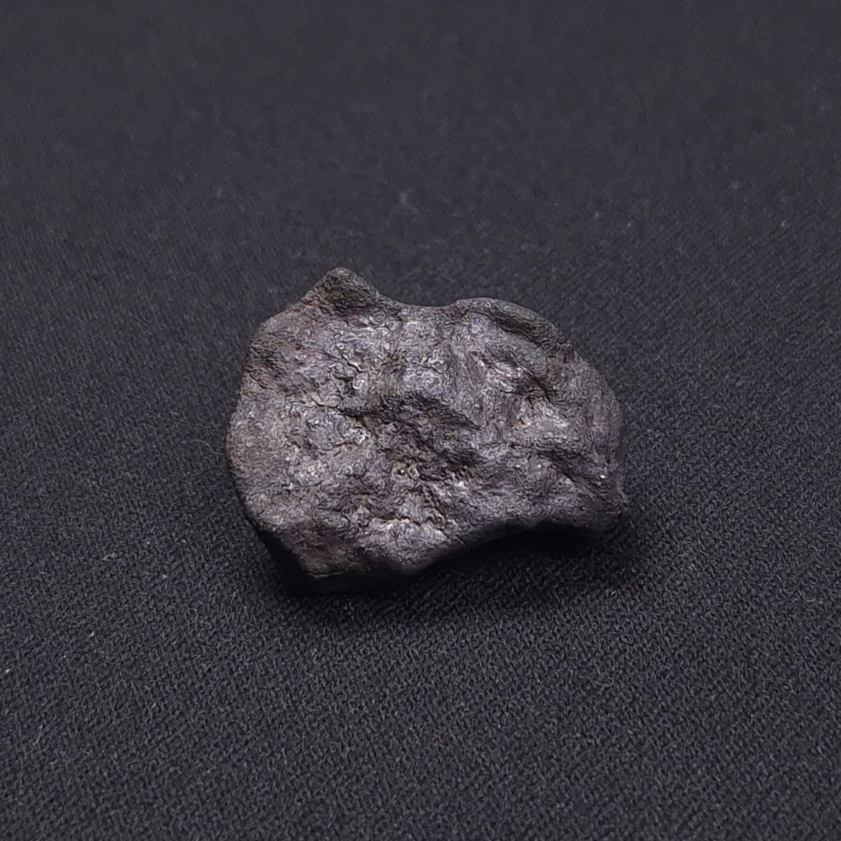 WILUNA METEORITE, H5 Chondrite, Australia YWM027