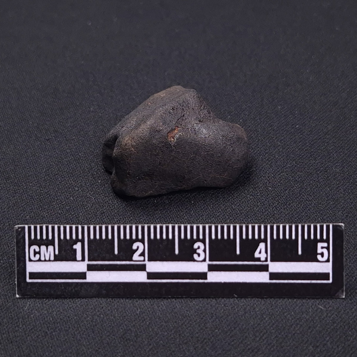 WILUNA METEORITE, H5 Chondrite, Australia YWM028