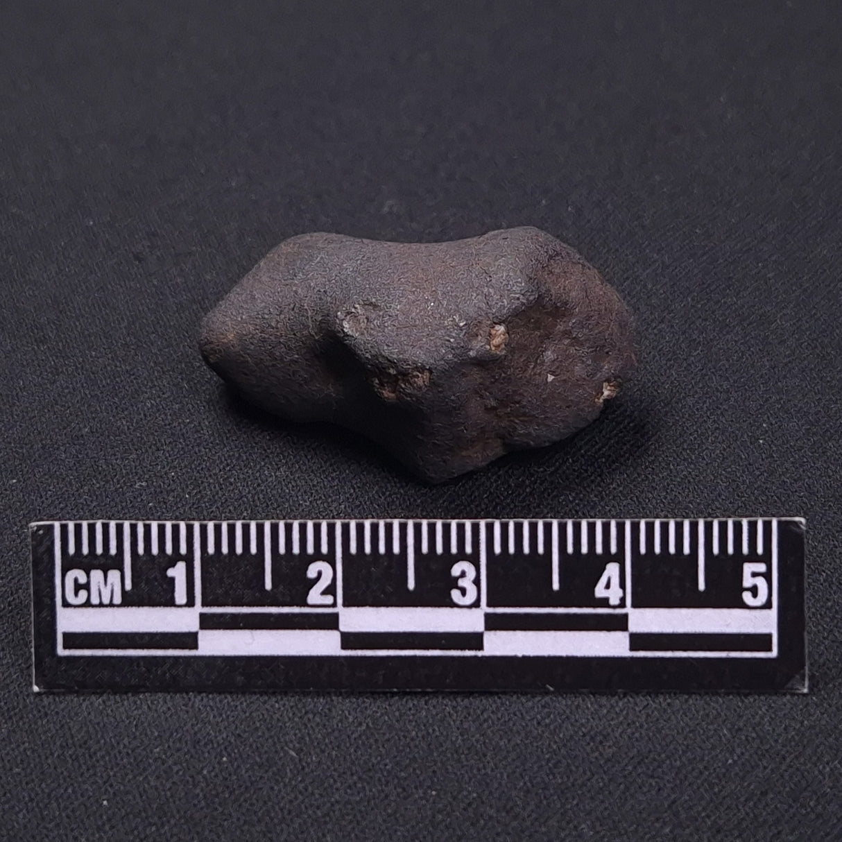 WILUNA METEORITE, H5 Chondrite, Australia YWM030