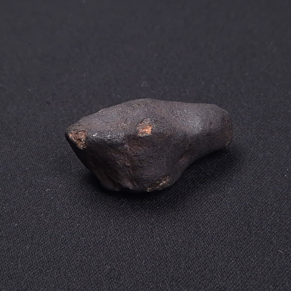 WILUNA METEORITE, H5 Chondrite, Australia YWM030