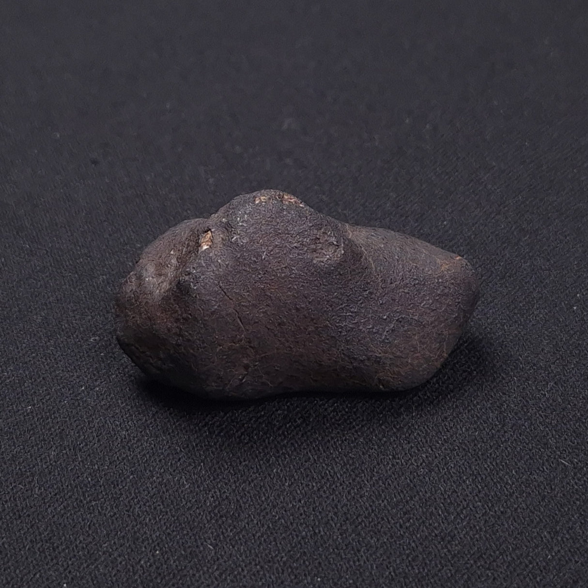 WILUNA METEORITE, H5 Chondrite, Australia YWM030