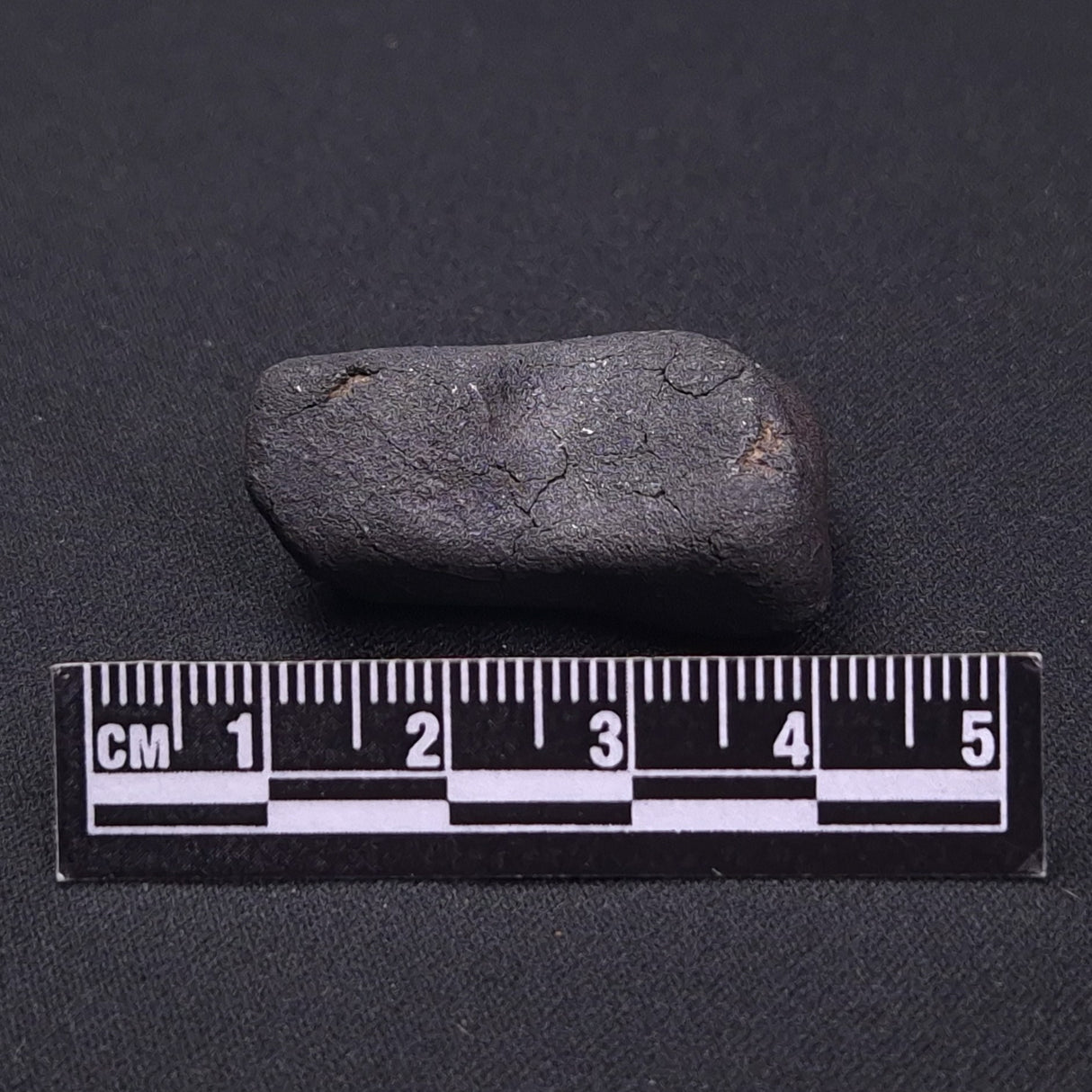 WILUNA METEORITE, H5 Chondrite, Australia YWM035