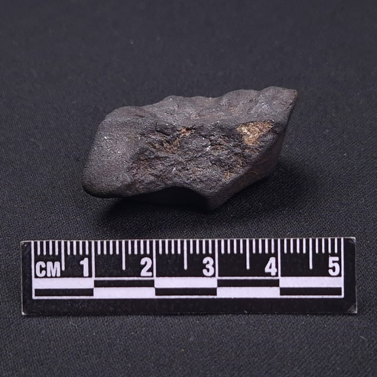 WILUNA METEORITE, H5 Chondrite, Australia YWM039