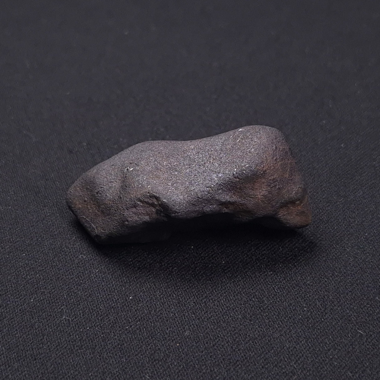 WILUNA METEORITE, H5 Chondrite, Australia YWM039