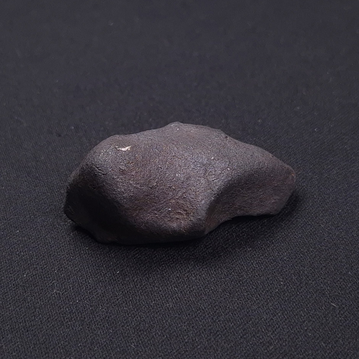 WILUNA METEORITE, H5 Chondrite, Australia YWM039