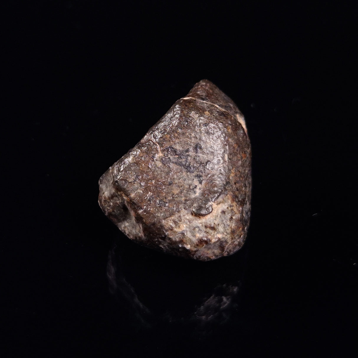 NWA RUMURUTI-TYPE METEORITE, North West Africa XRM001