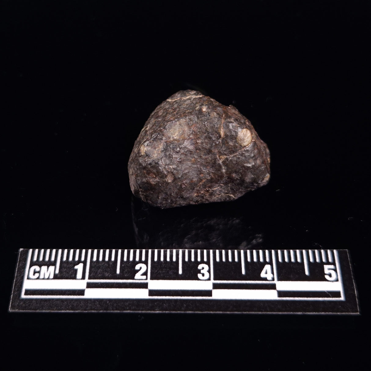 NWA RUMURUTI-TYPE METEORITE, North West Africa XRM001
