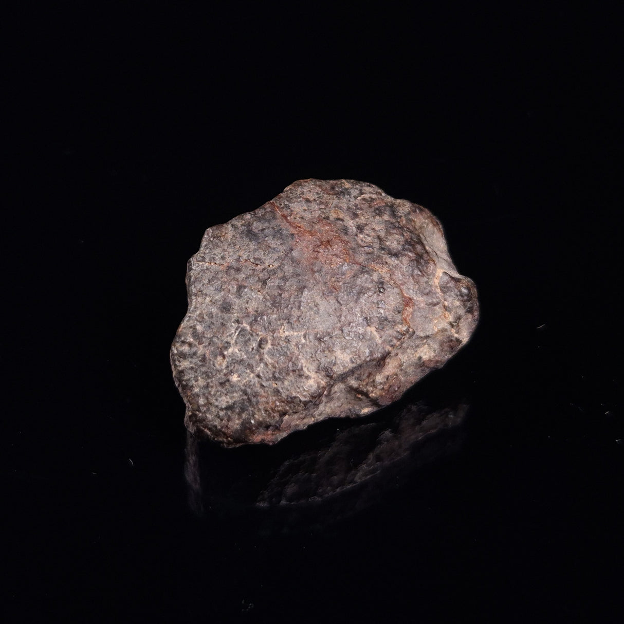 NWA RUMURUTI-TYPE METEORITE, North West Africa XRM003