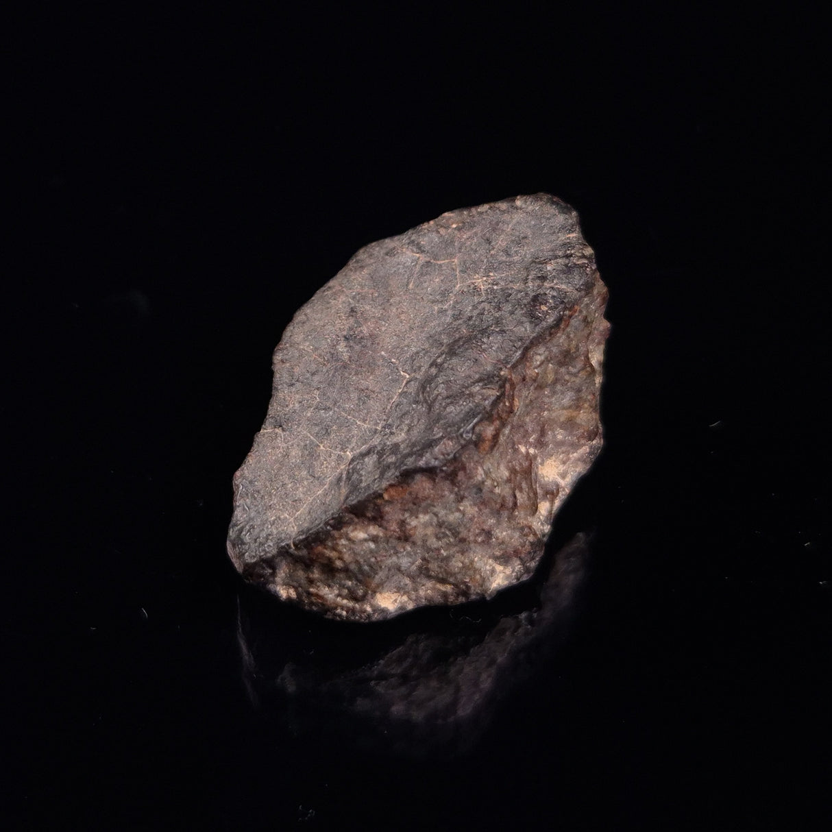 NWA RUMURUTI-TYPE METEORITE, North West Africa XRM003