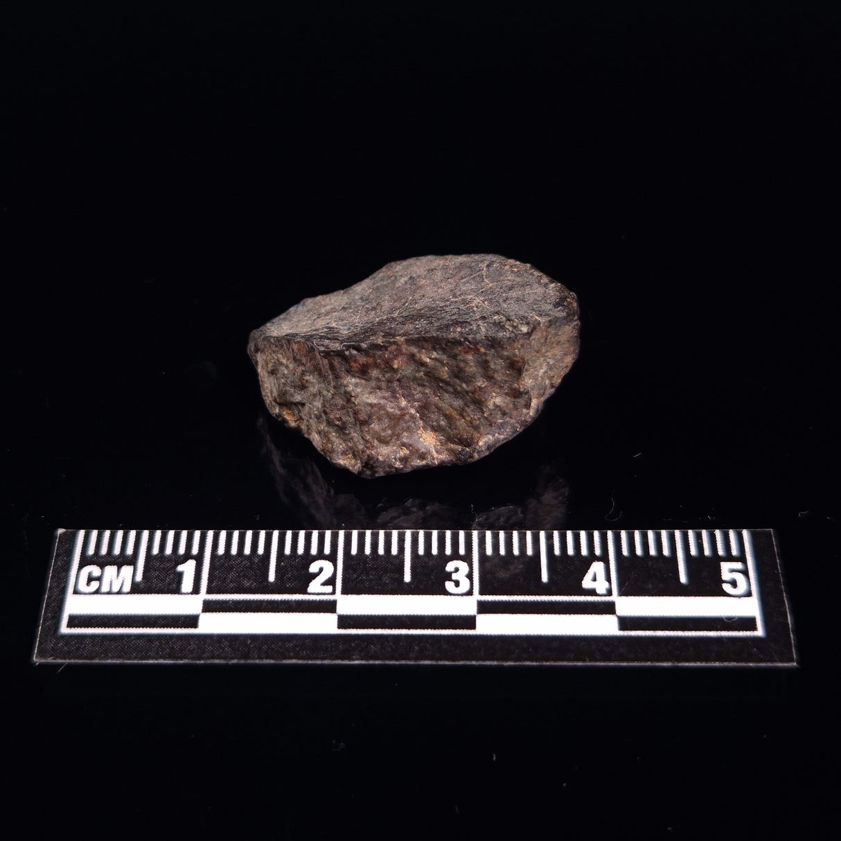 NWA RUMURUTI-TYPE METEORITE, North West Africa XRM003