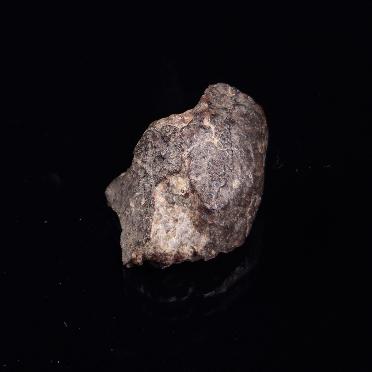 NWA RUMURUTI-TYPE METEORITE, North West Africa XRM004
