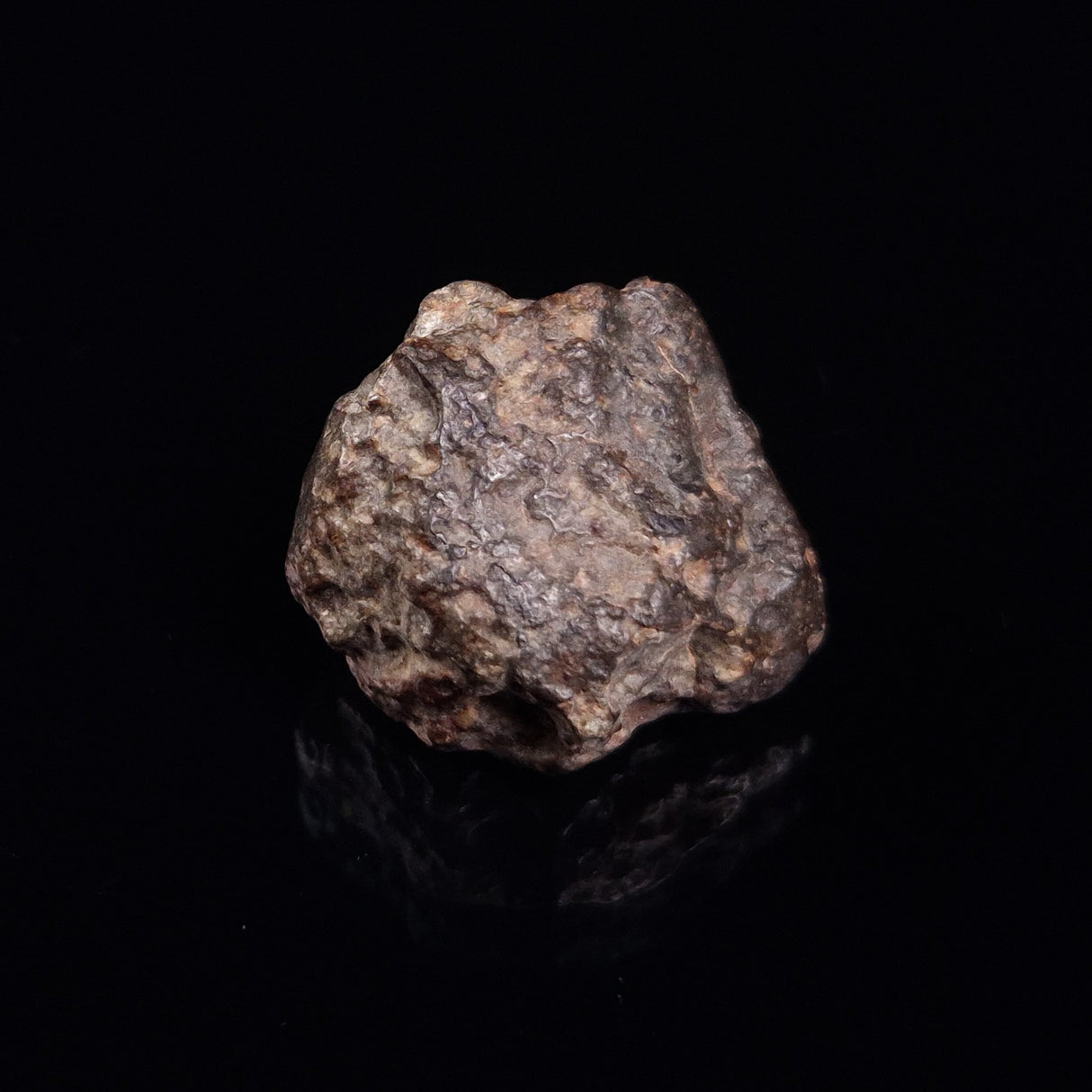 NWA RUMURUTI-TYPE METEORITE, North West Africa XRM007
