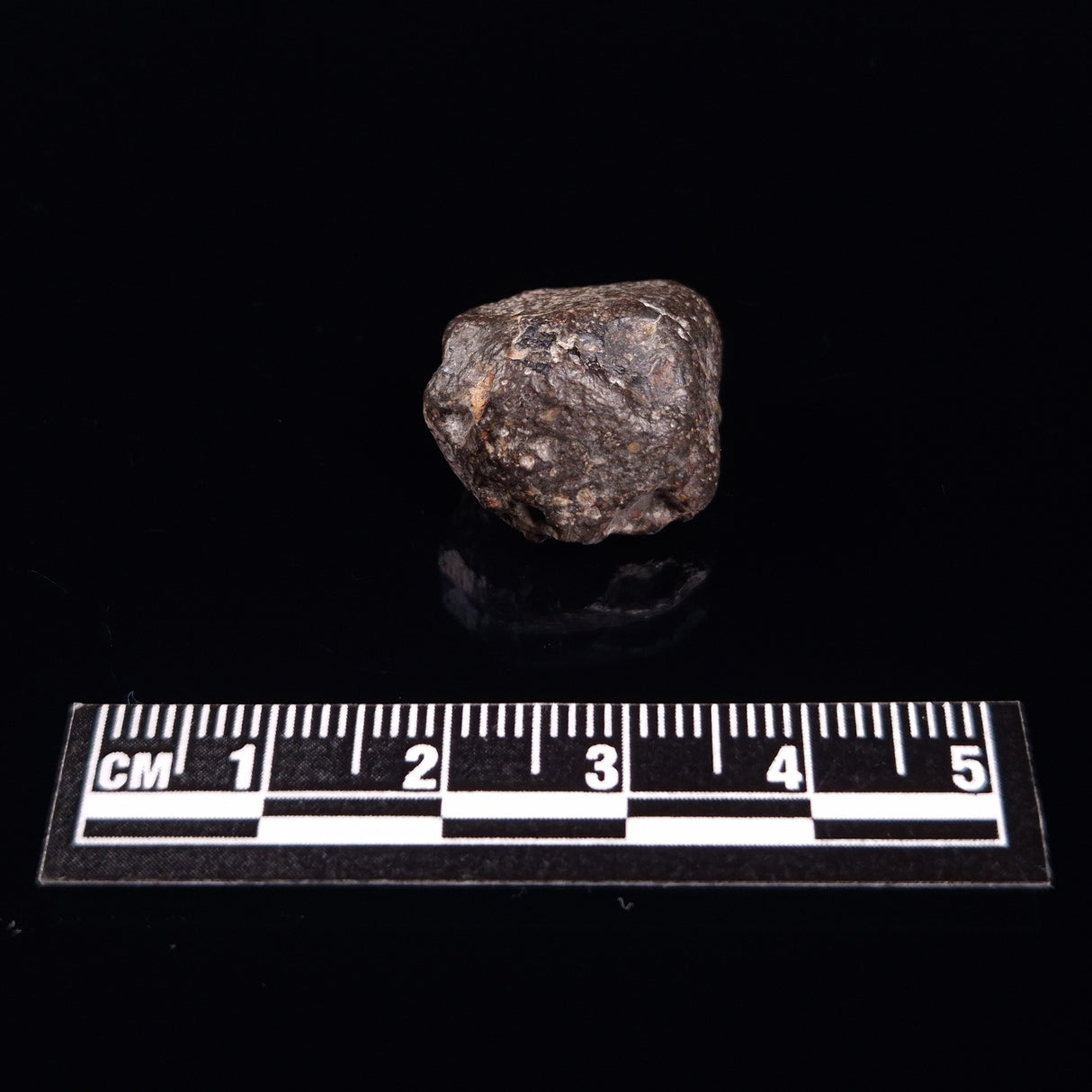 NWA RUMURUTI-TYPE METEORITE, North West Africa XRM007