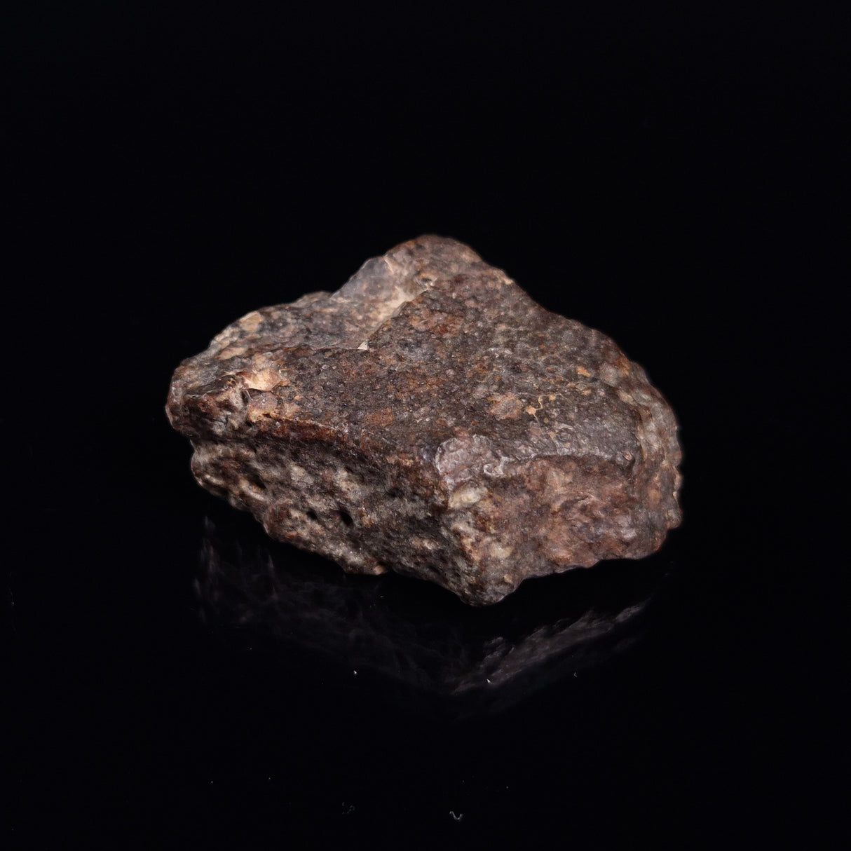 NWA RUMURUTI-TYPE METEORITE, North West Africa XRM008