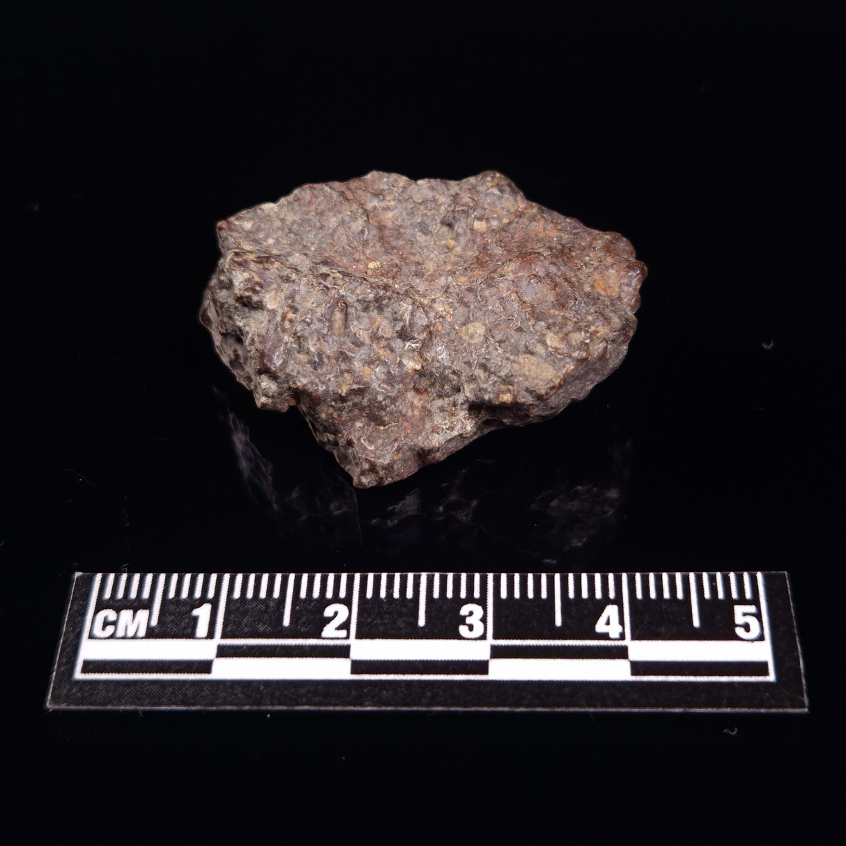 NWA RUMURUTI-TYPE METEORITE, North West Africa XRM008