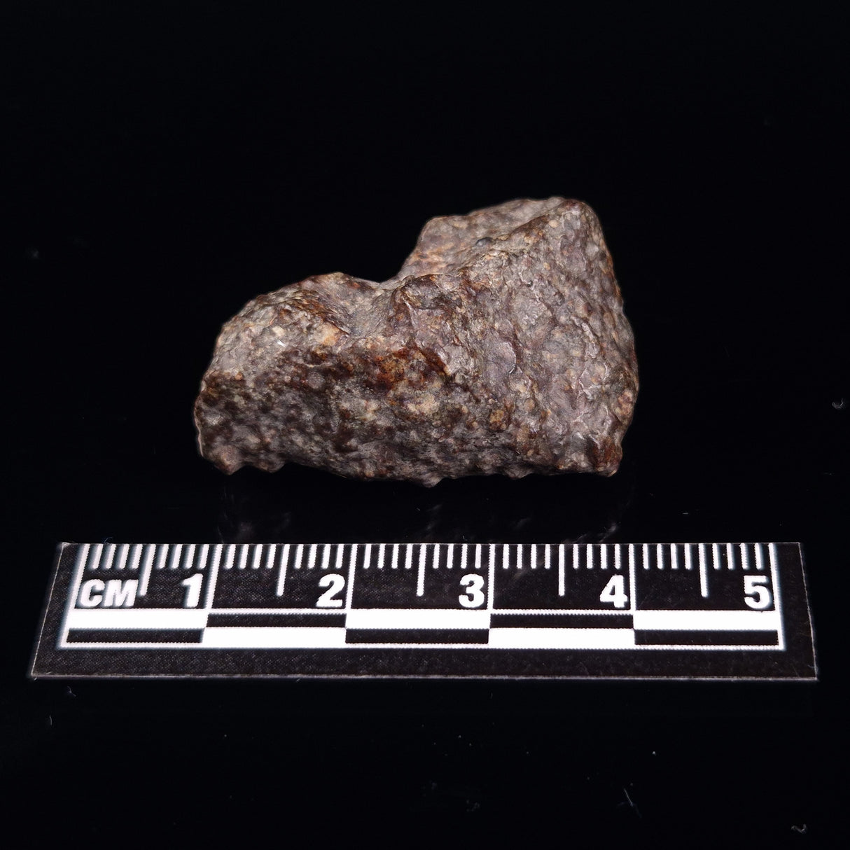 NWA RUMURUTI-TYPE METEORITE, North West Africa XRM009