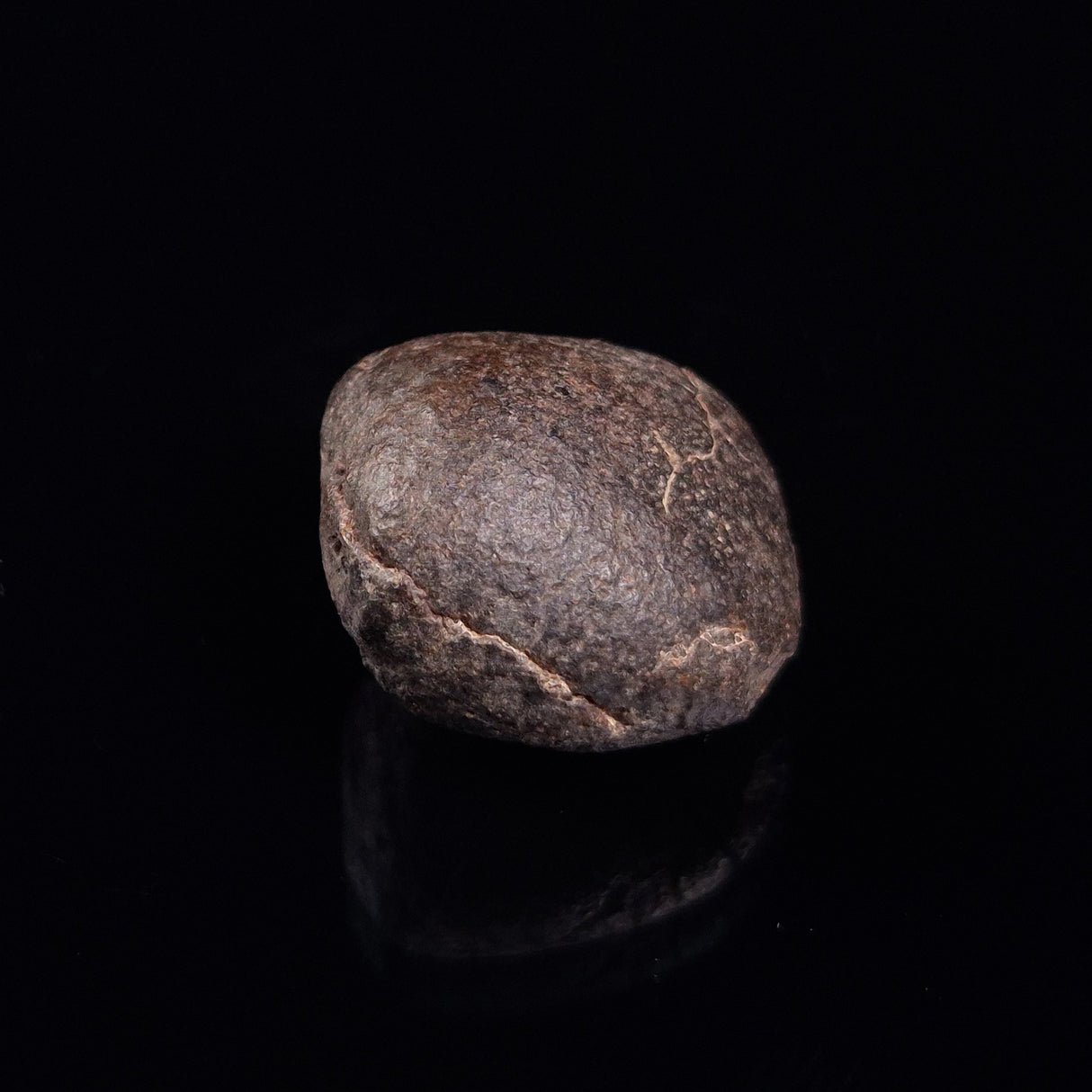 NWA RUMURUTI-TYPE METEORITE, North West Africa XRM011