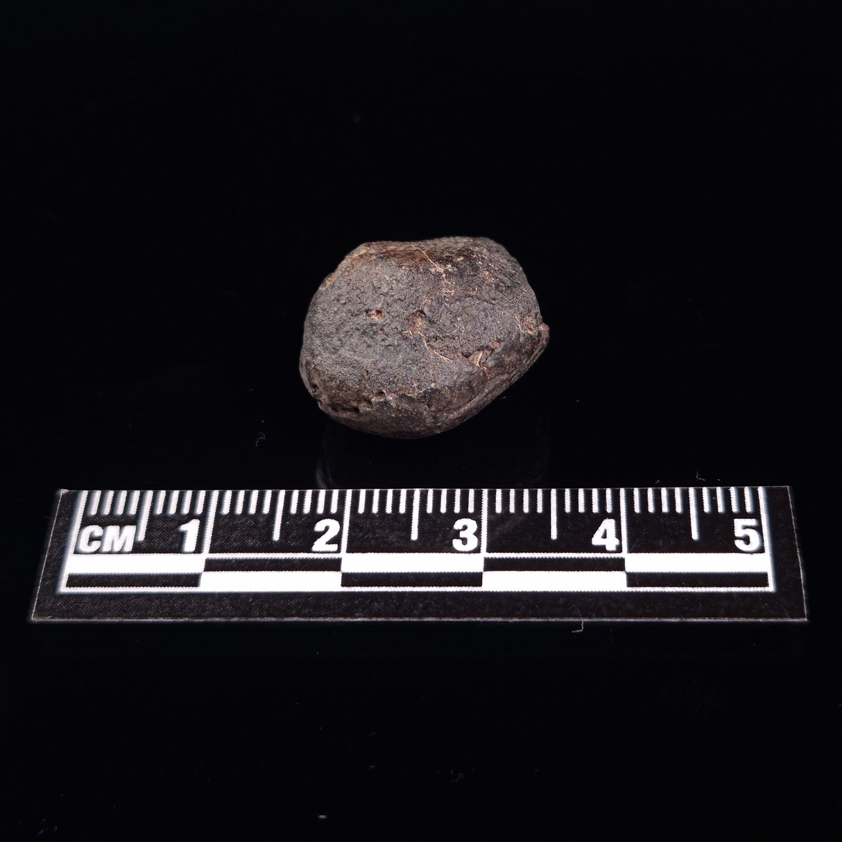 NWA RUMURUTI-TYPE METEORITE, North West Africa XRM011