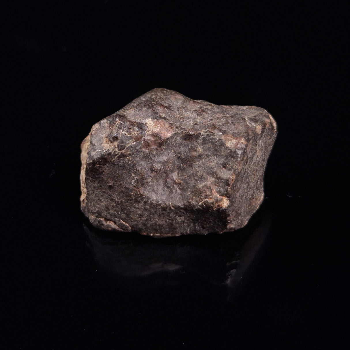 NWA RUMURUTI-TYPE METEORITE, North West Africa XRM012