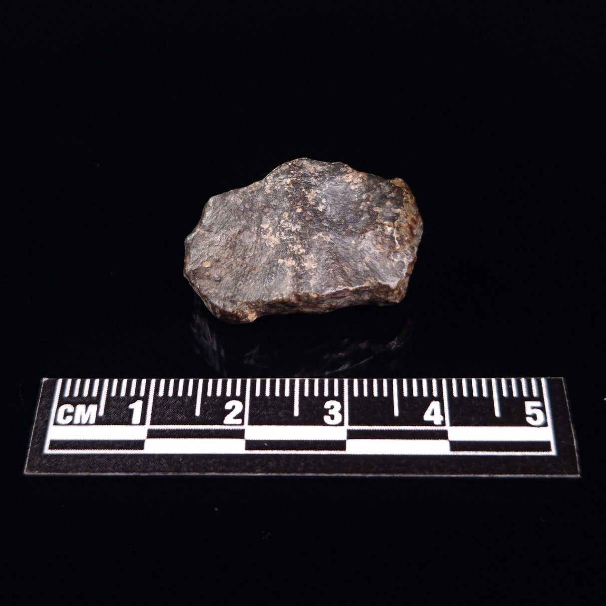 NWA RUMURUTI-TYPE METEORITE, North West Africa XRM014