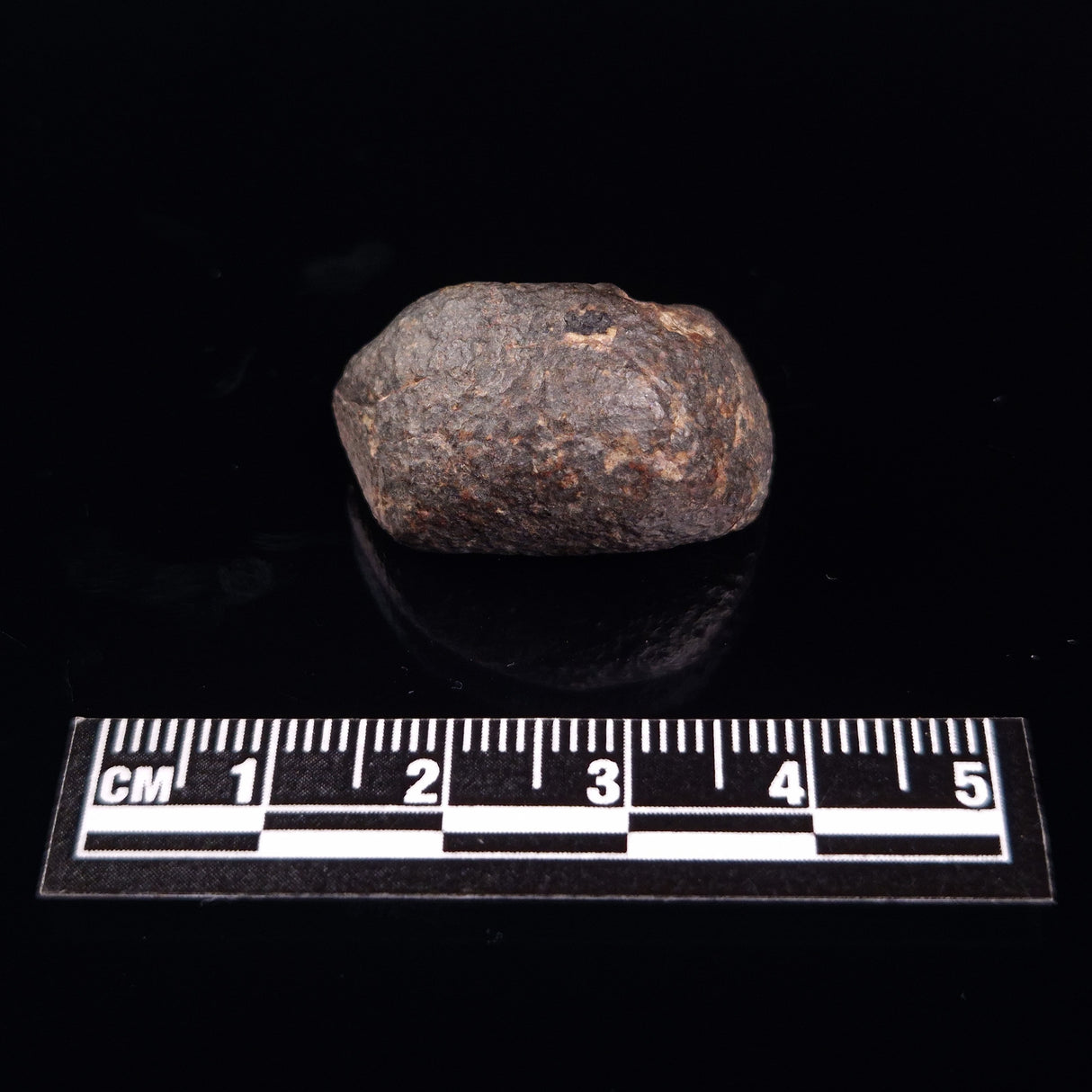 NWA RUMURUTI-TYPE METEORITE, North West Africa XRM015