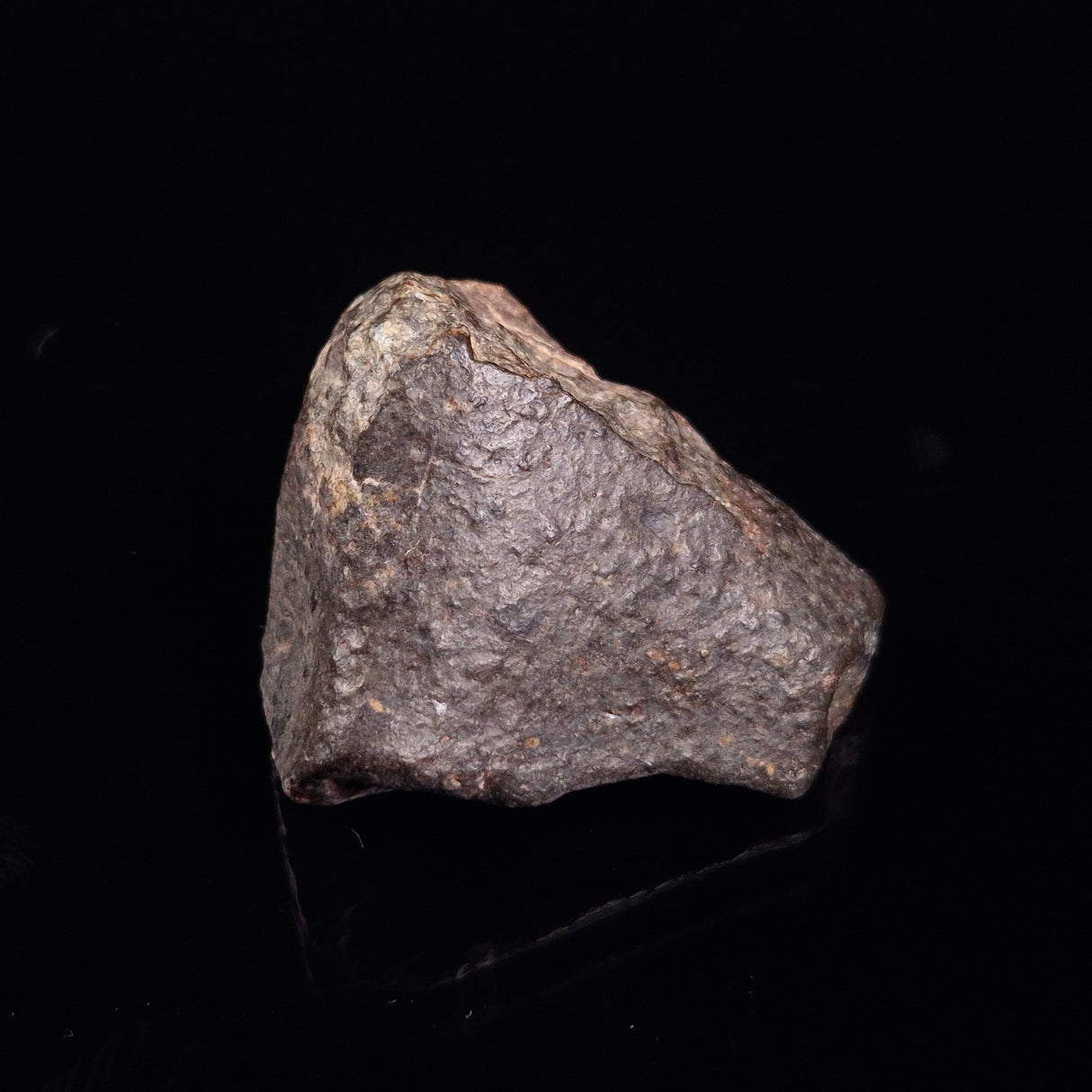 NWA RUMURUTI-TYPE METEORITE, North West Africa XRM017