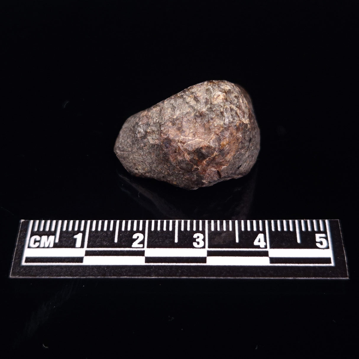 NWA RUMURUTI-TYPE METEORITE, North West Africa XRM017