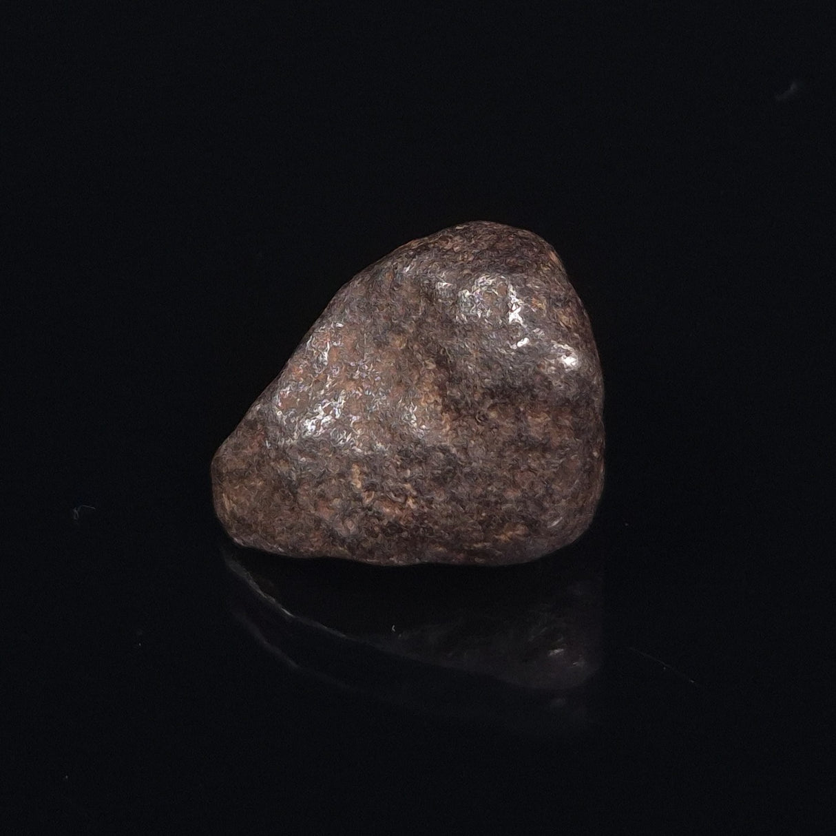 MUNDRABILLA METEORITE, Western Australia XMM001