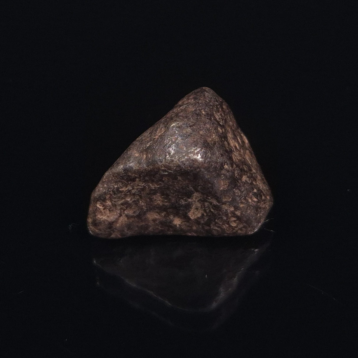MUNDRABILLA METEORITE, Western Australia XMM001