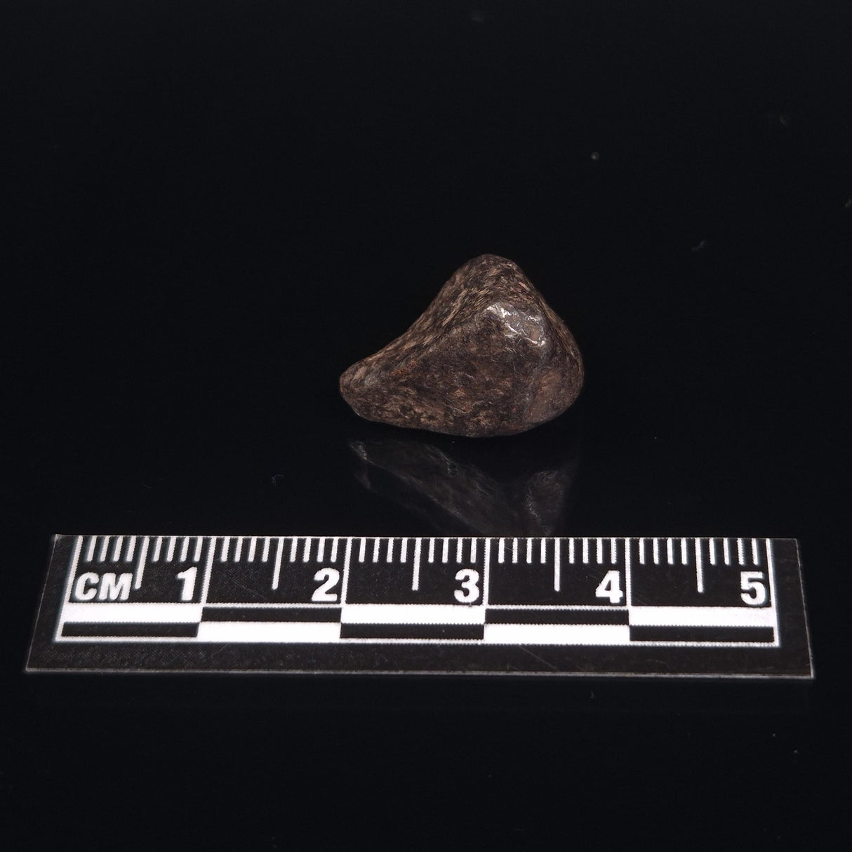 MUNDRABILLA METEORITE, Western Australia XMM001