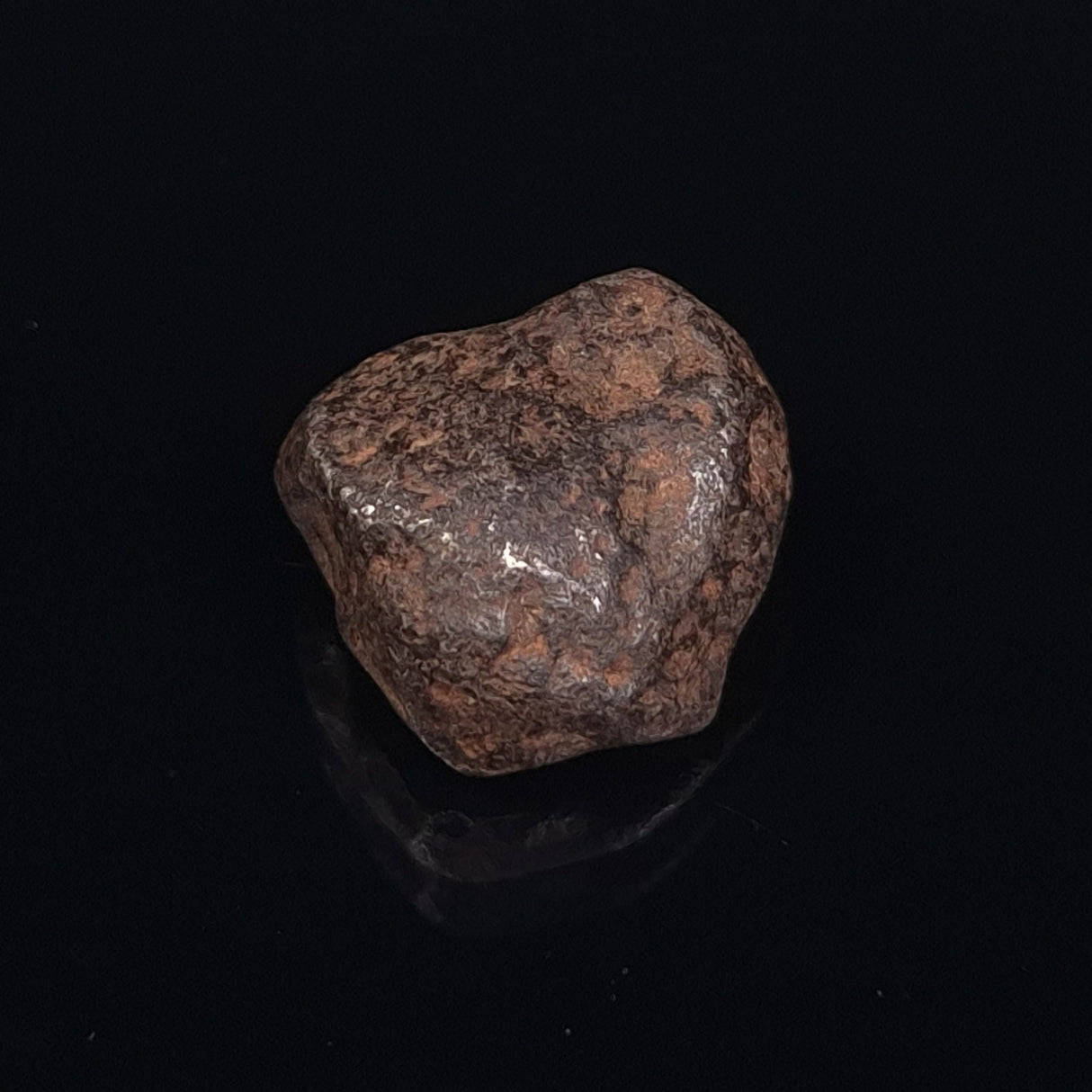 MUNDRABILLA METEORITE, Western Australia XMM005