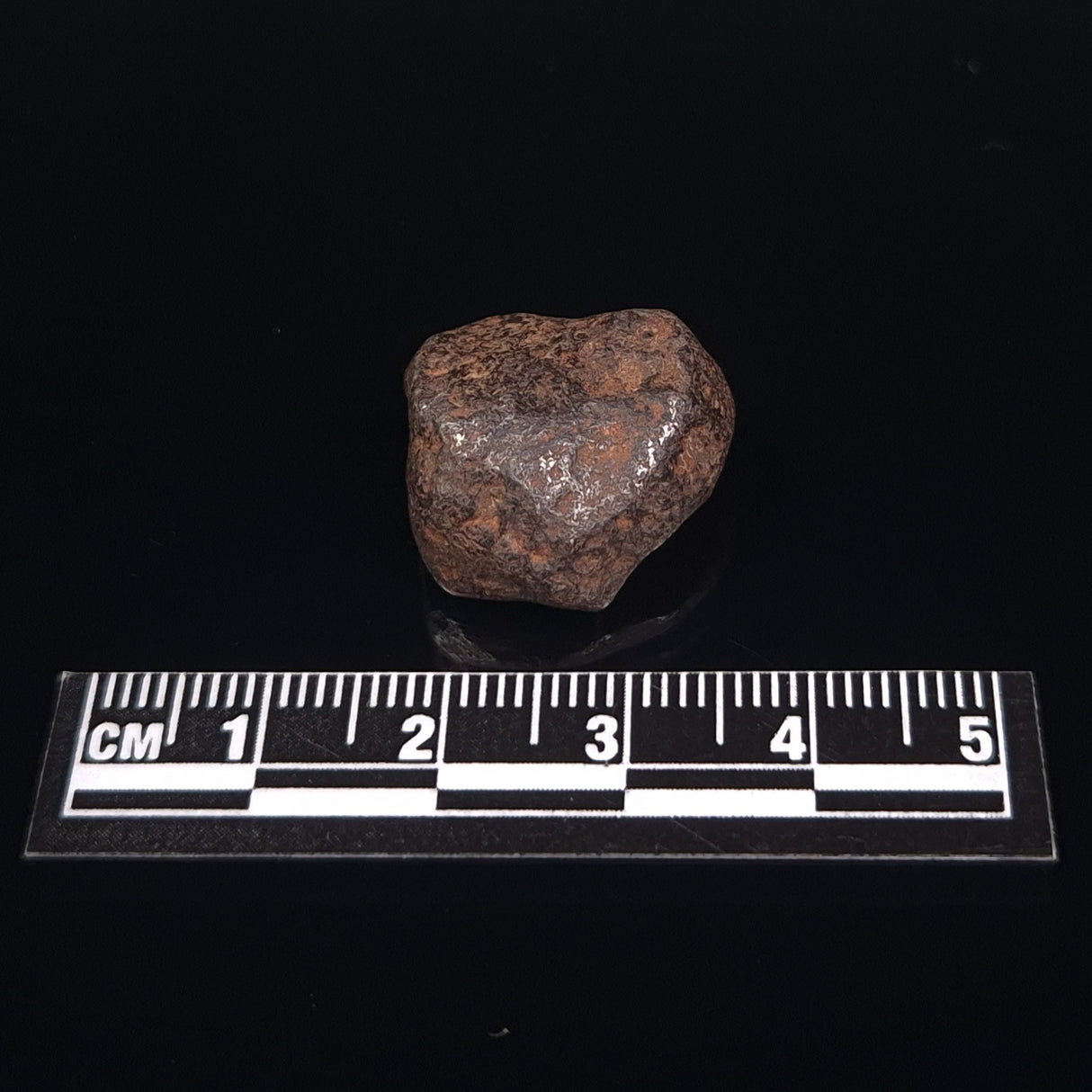 MUNDRABILLA METEORITE, Western Australia XMM005