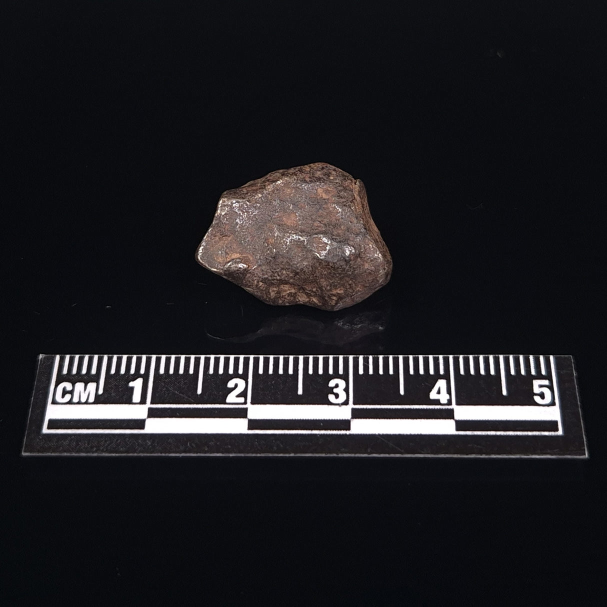 MUNDRABILLA METEORITE, Western Australia XMM006