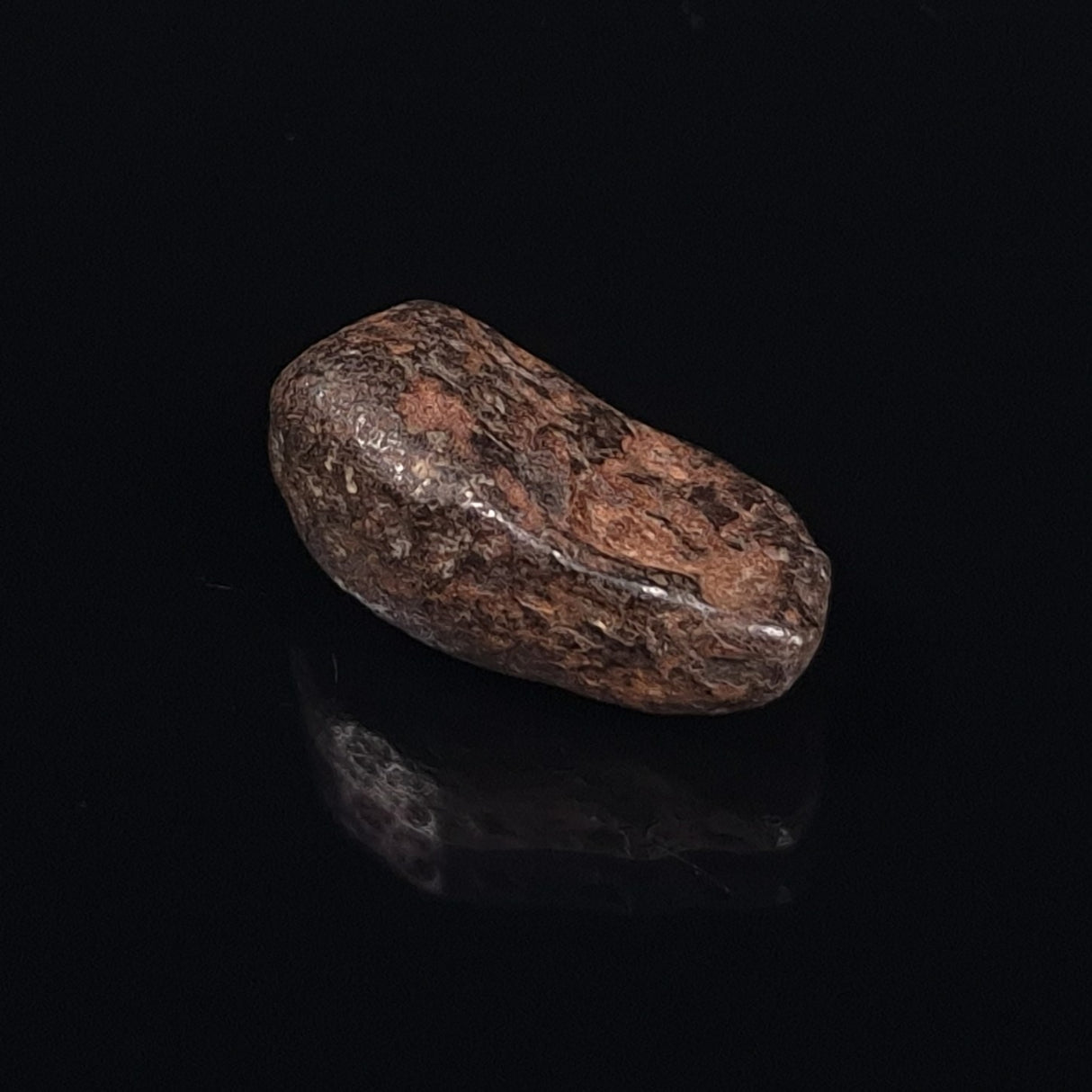 MUNDRABILLA METEORITE, Western Australia XMM008