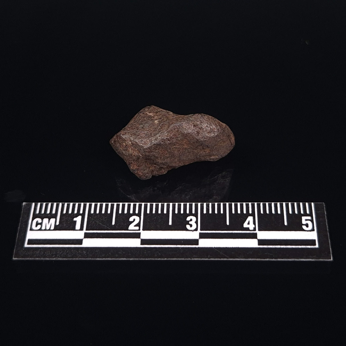 MUNDRABILLA METEORITE, Western Australia XMM011