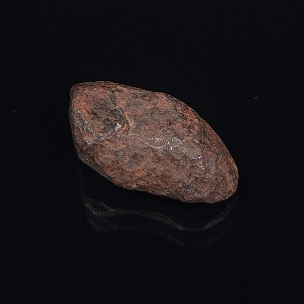 MUNDRABILLA METEORITE, Western Australia XMM012