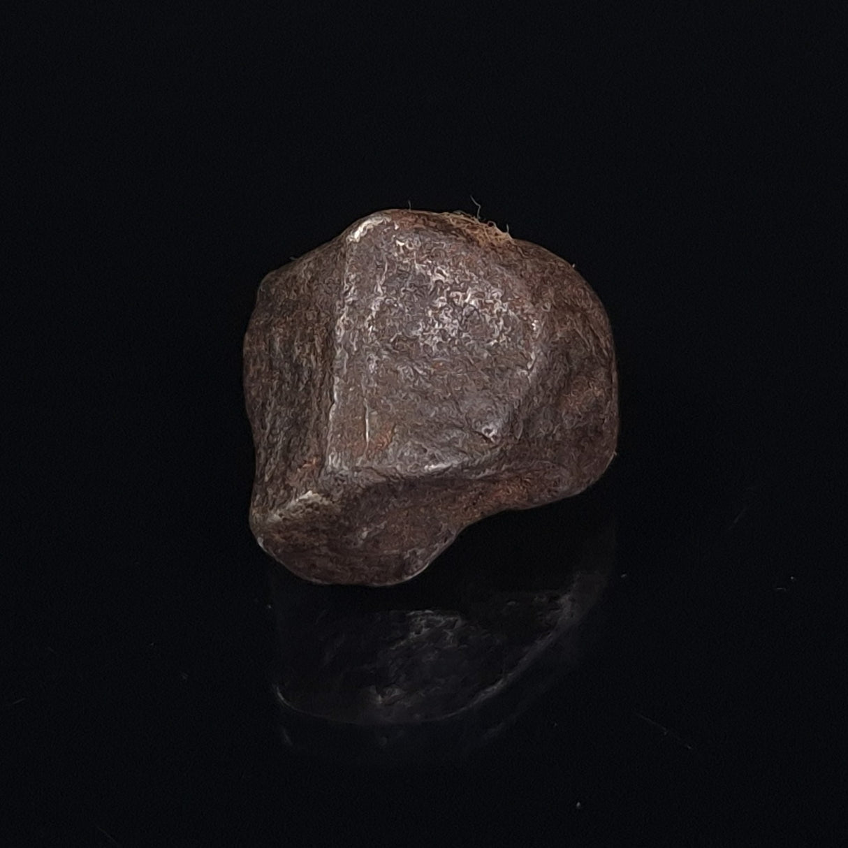 MUNDRABILLA METEORITE, Western Australia XMM015
