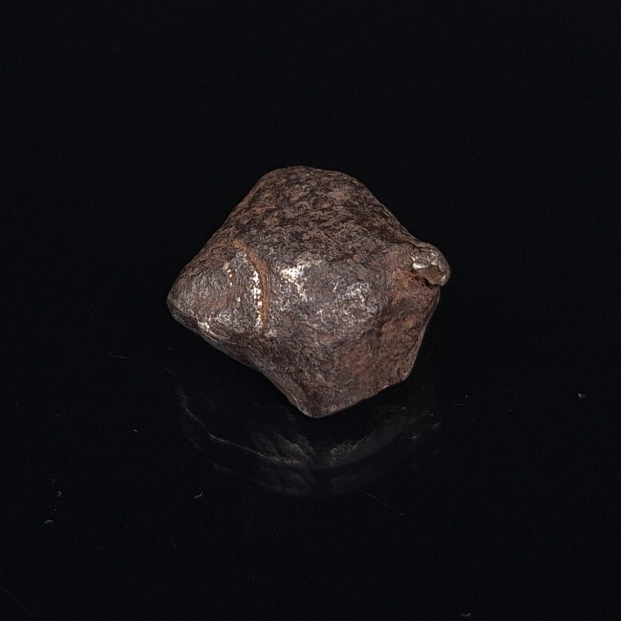 MUNDRABILLA METEORITE, Western Australia XMM016